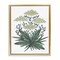 Stupell Industries New Roots Vintage Sketch Floating Frame, design by Cecilia Battaini